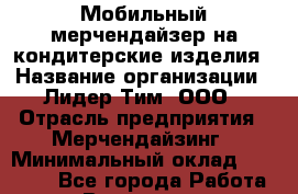 Мобильный мерчендайзер на кондитерские изделия › Название организации ­ Лидер Тим, ООО › Отрасль предприятия ­ Мерчендайзинг › Минимальный оклад ­ 27 800 - Все города Работа » Вакансии   . Мурманская обл.,Оленегорск г.